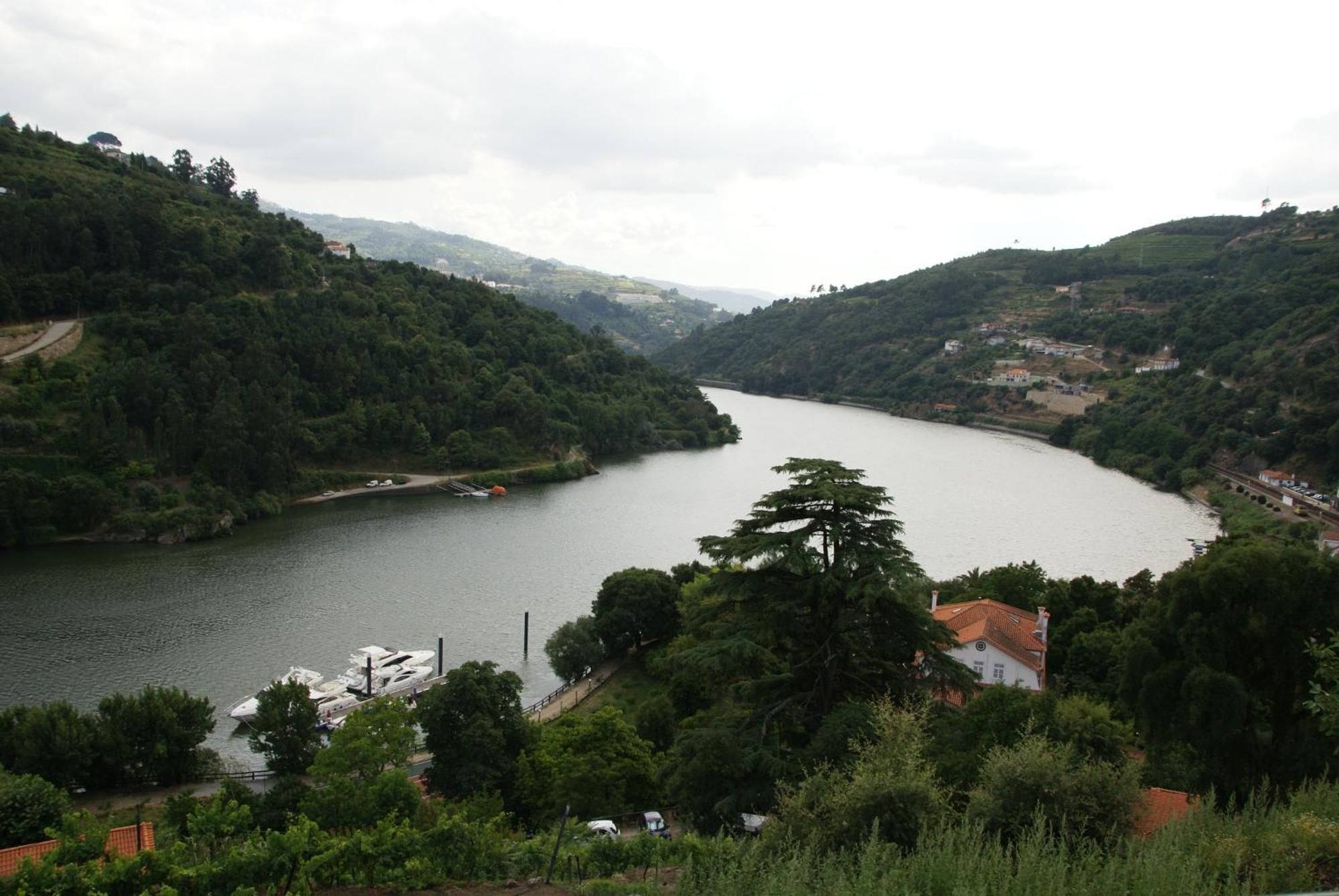 Quinta Da Ermida - Turismo De Habitacao Panzió Baião Kültér fotó