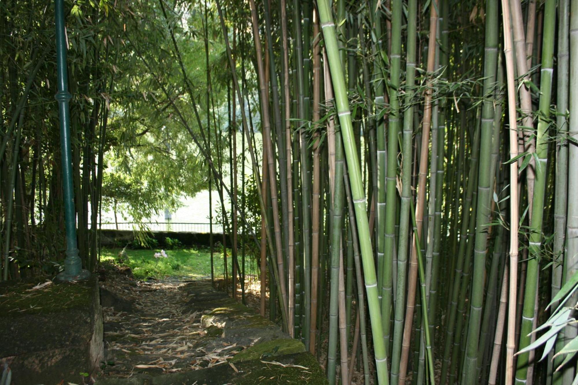 Quinta Da Ermida - Turismo De Habitacao Panzió Baião Kültér fotó